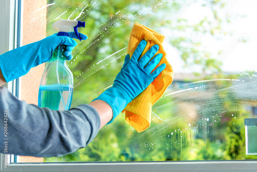 Photo of woman cleaning